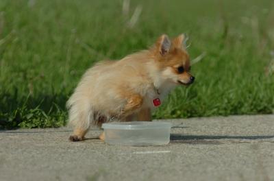 May28_06_005.JPG