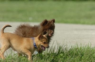 May28_06_030.JPG