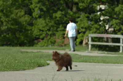 May28_06_041.JPG