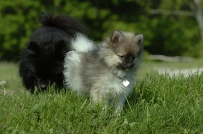 May28_06_046.JPG