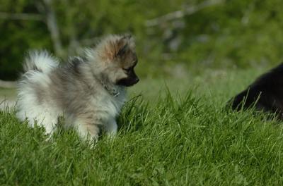 May28_06_047.JPG