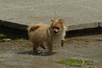May29_06_221.JPG