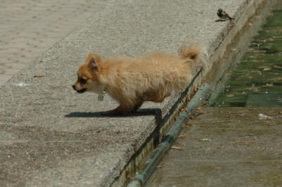 May29_06_229.JPG
