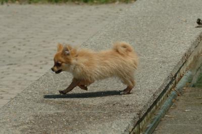May29_06_230.JPG