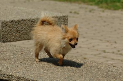 May29_06_259.JPG