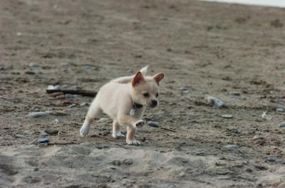 May30_06_279.JPG