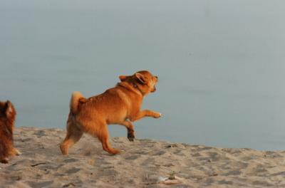 May30_06_284.JPG