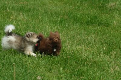 Jun4_06_292.JPG