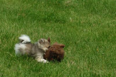 Jun4_06_293.JPG