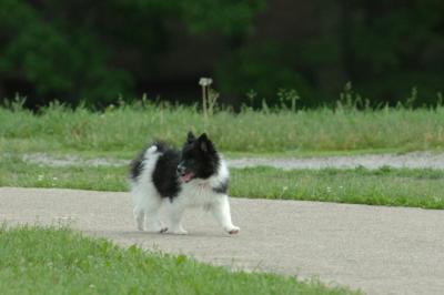 Jun4_06_298.JPG