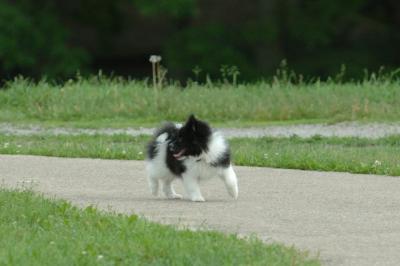Jun4_06_299.JPG