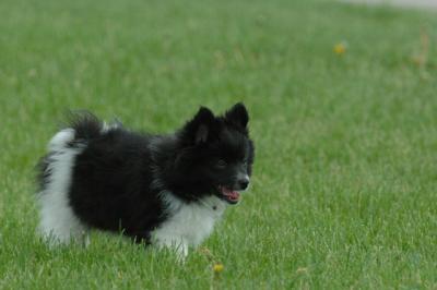 Jun4_06_302.JPG