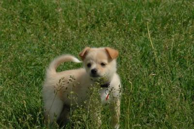 Jun4_06_308.JPG