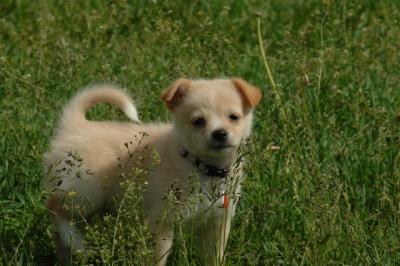 Jun4_06_310.JPG
