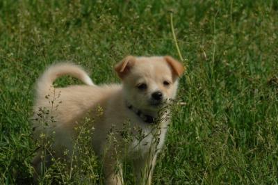 Jun4_06_311.JPG