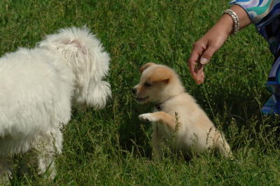 Jun4_06_312.JPG
