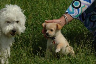 Jun4_06_321.JPG