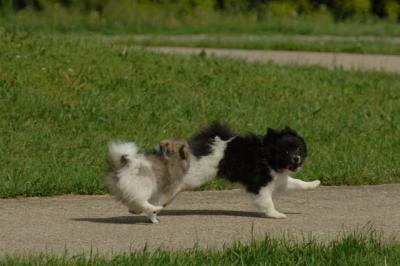 Jun4_06_324.JPG
