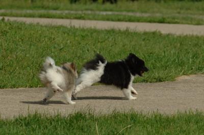 Jun4_06_326.JPG
