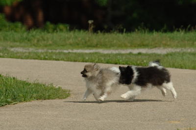 Jun4_06_329.JPG