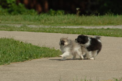 Jun4_06_330.JPG
