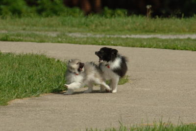 Jun4_06_332.JPG