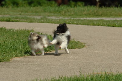 Jun4_06_333.JPG