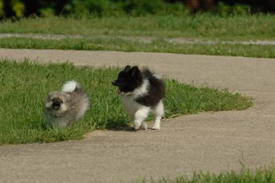 Jun4_06_335.JPG