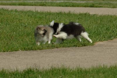 Jun4_06_337.JPG