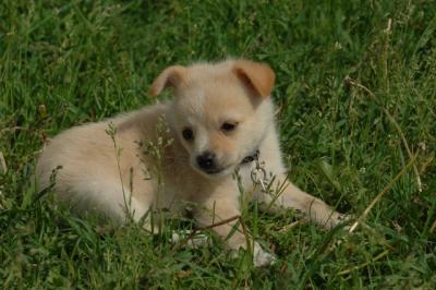 Jun4_06_349.JPG