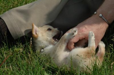 Jun4_06_352.JPG