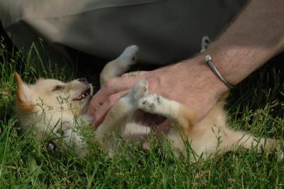 Jun4_06_353.JPG