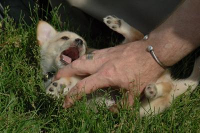 Jun4_06_355.JPG