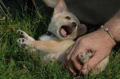 Jun4_06_356.JPG