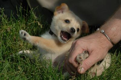 Jun4_06_357.JPG