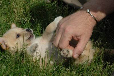 Jun4_06_359.JPG