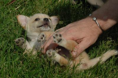 Jun4_06_360.JPG