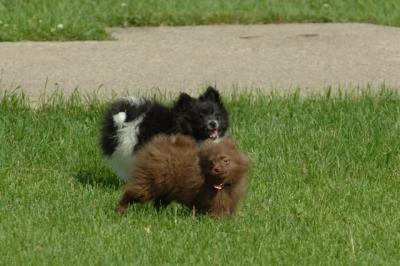 Jun4_06_364.JPG