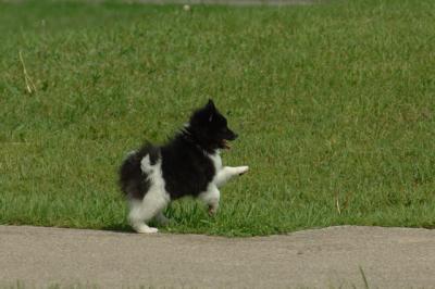 Jun4_06_367.JPG