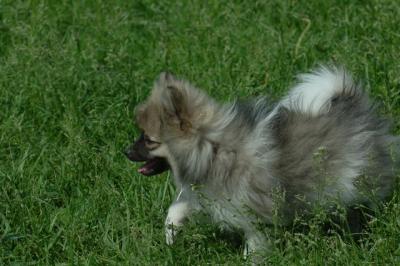 Jun4_06_373.JPG