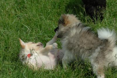Jun4_06_378.JPG