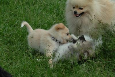 Jun4_06_380.JPG