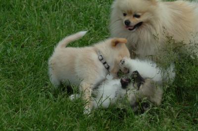 Jun4_06_381.JPG