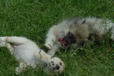 Jun4_06_382.JPG