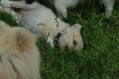 Jun4_06_384.JPG