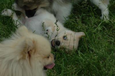 Jun4_06_385.JPG
