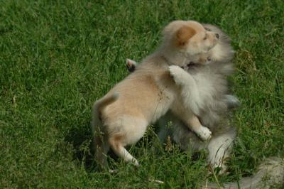Jun4_06_386.JPG