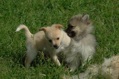 Jun4_06_387.JPG