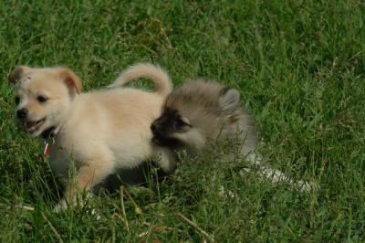 Jun4_06_388.JPG