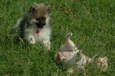 Jun4_06_389.JPG